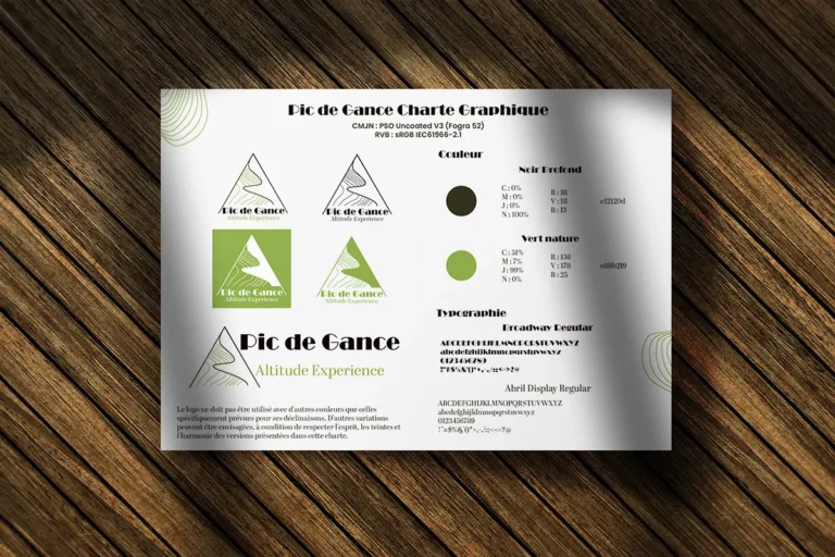 Mini charte graphique du logo Pic de Gance, création par Rachel Niveau, infographiste et designer UI à Niort, Deux-Sèvres